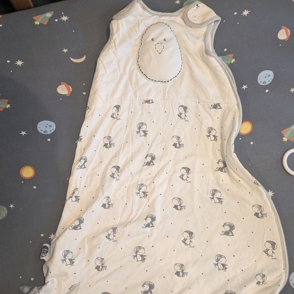 Nested Bean - Picture 6 of 7